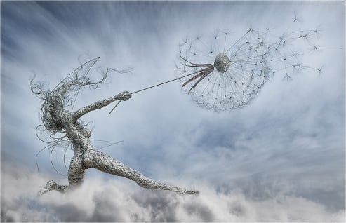 Chasing Wishes
