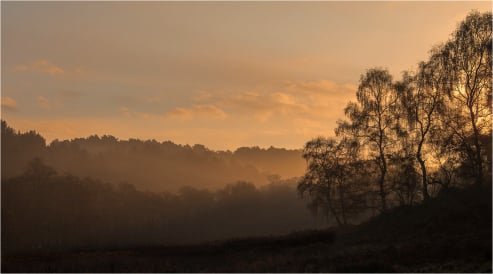 canock chase early morning