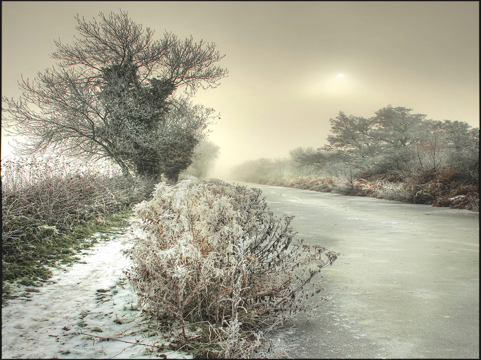 Frozen Canal