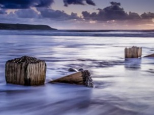 Keith Newman's Gallery