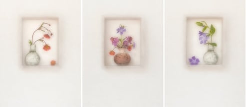 flowers in vases