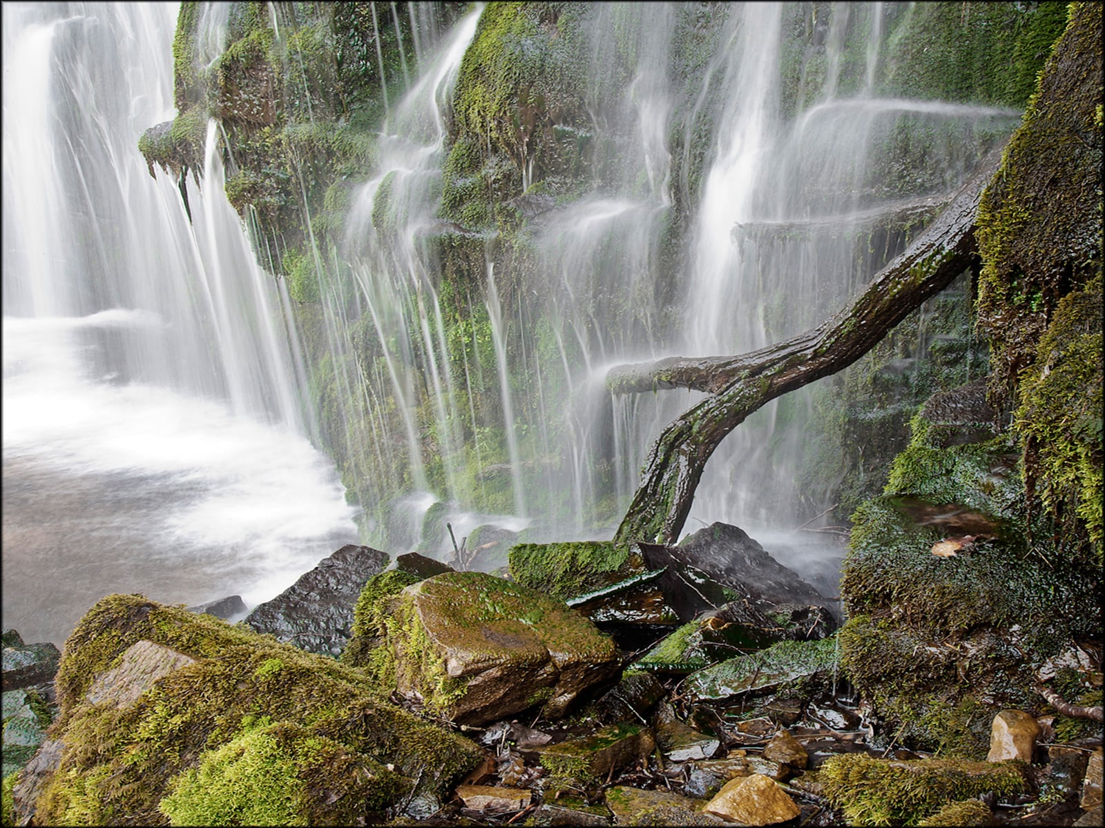 Stick in Waterfall