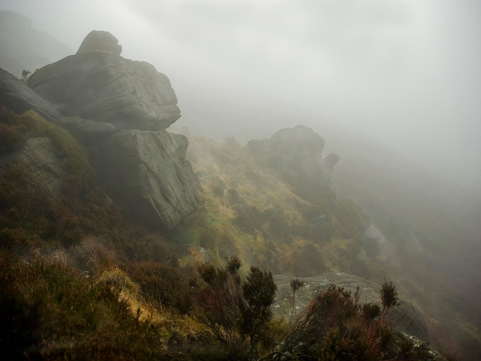 Torns in the Mist