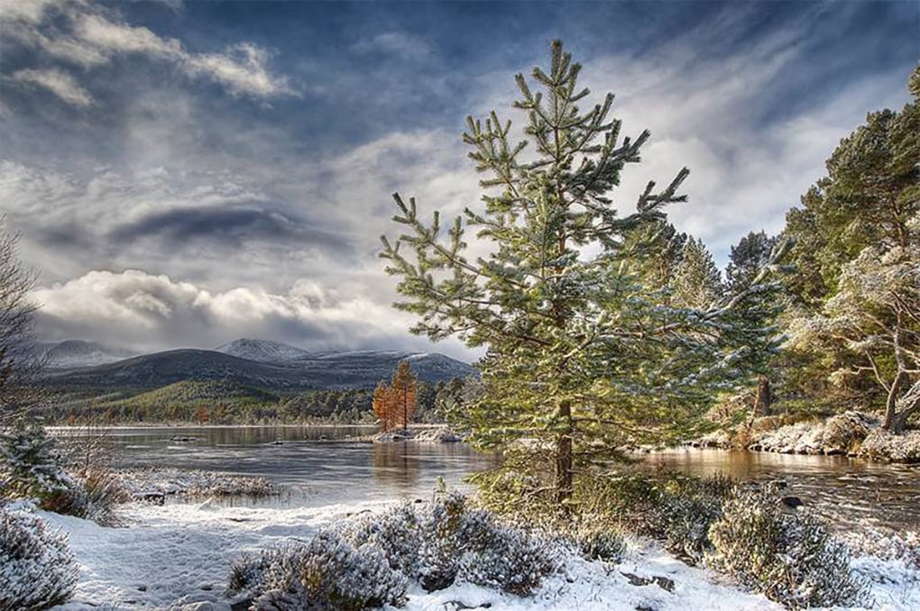 Winter Wonderland